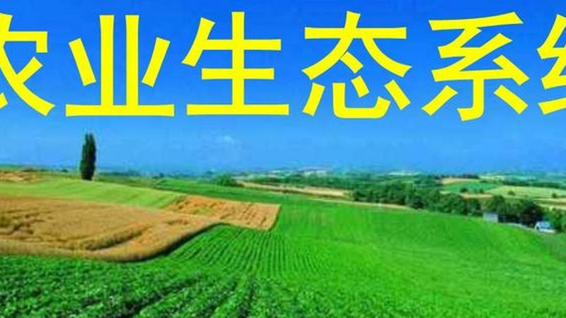 农资批发代理：揭秘其背后的利与弊**