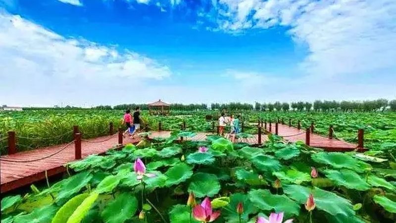 小成本果蔬配送平台加盟，如何精准定位市场？**