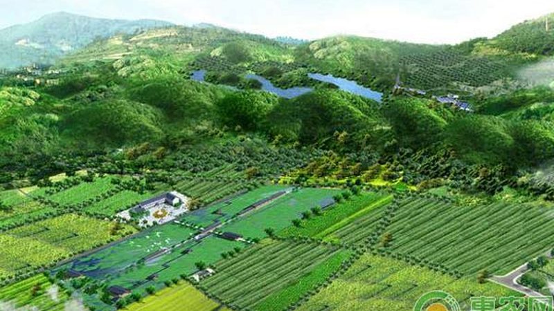 日光温室大棚建造：注意事项与关键要素