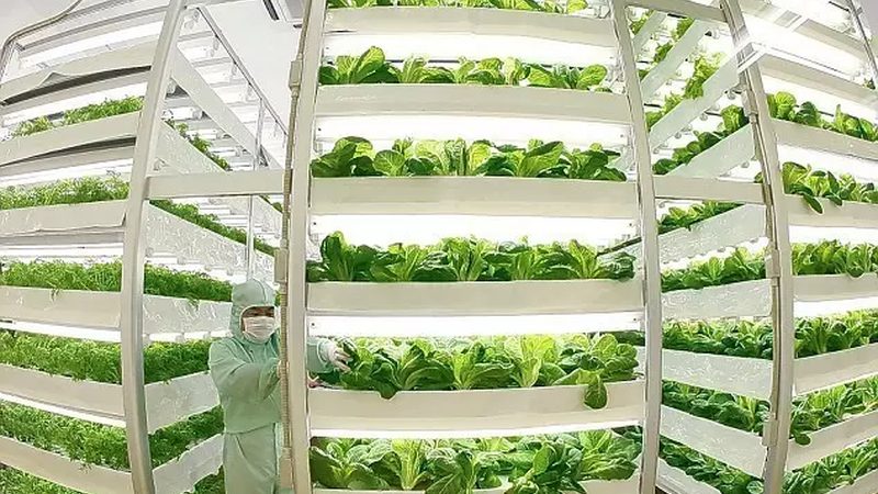 粮食种植公司加盟，如何把握关键要素？**