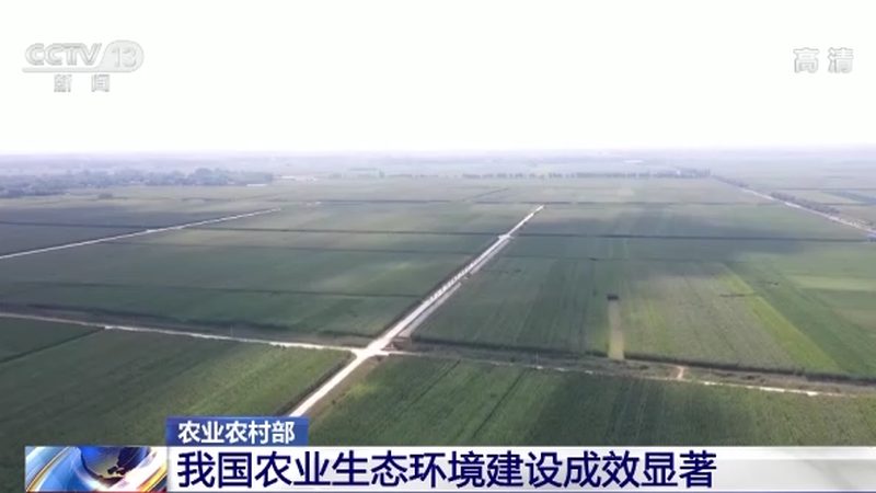水果种植合作社电商渠道年收入