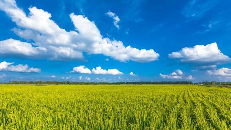现代农业示范基地：如何挑选，避免误区