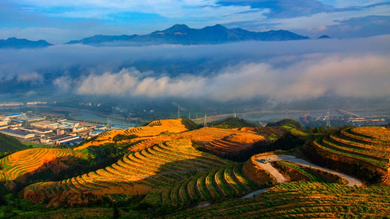 济南周边水果种植基地直采，如何把握价格优势？**