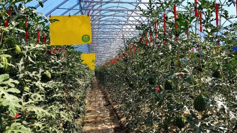 合作社如何诞生？农民专业合作社注册流程全解析**