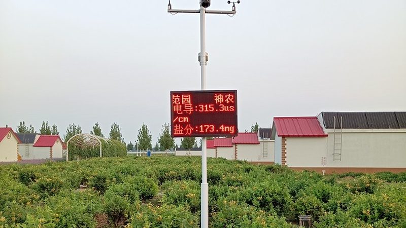 小型果蔬配送中心起步攻略：从选址到运营的关键步骤