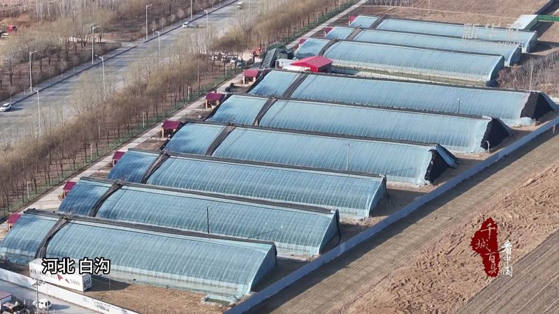 种植成本与收益分析表：精准管理，高效种植的秘诀