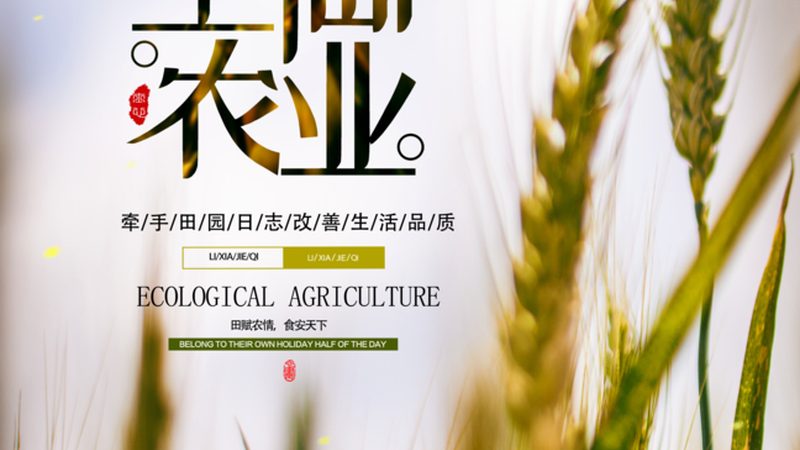有机认证标准解析：粮食种植厂家直销的秘密
